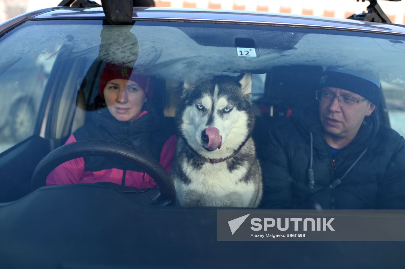 Russia Sled Dog Racing Tournament