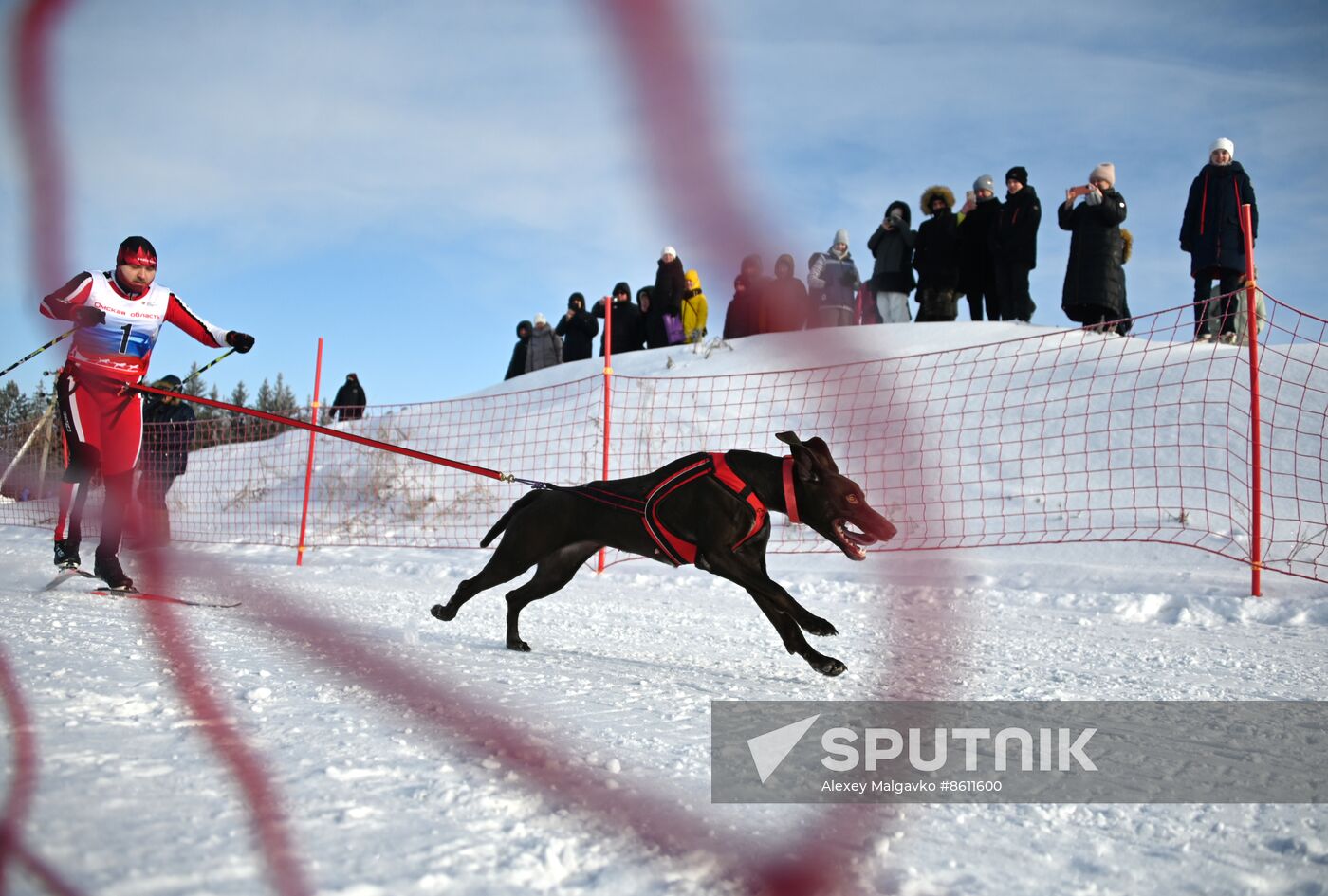 Russia Sled Dog Racing Tournament