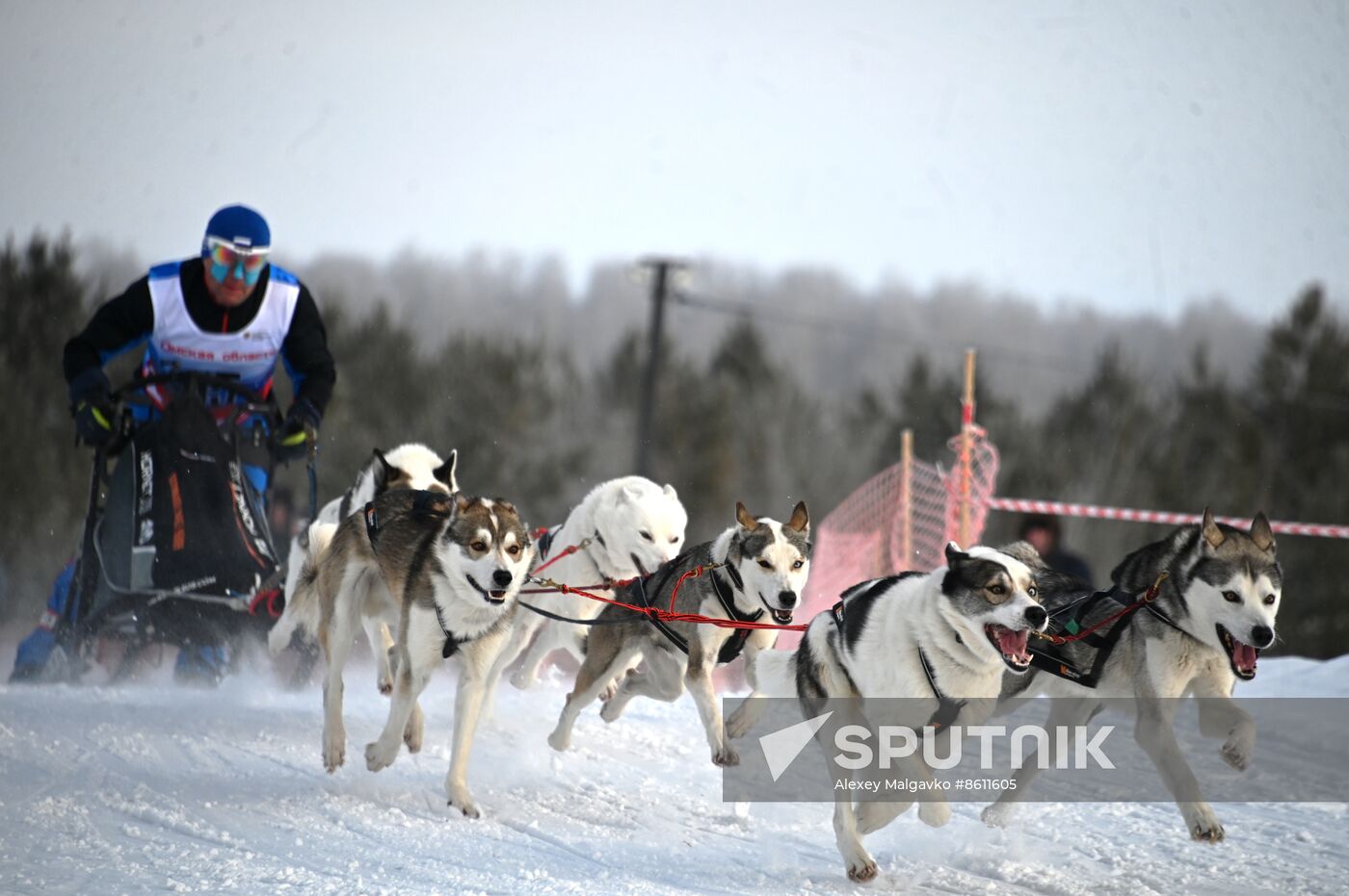 Russia Sled Dog Racing Tournament