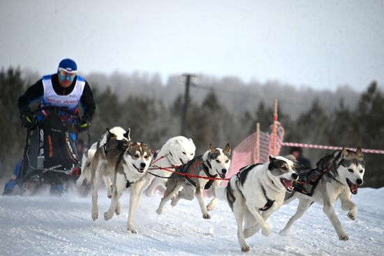 Russia Sled Dog Racing Tournament