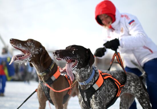 Russia Sled Dog Racing Tournament