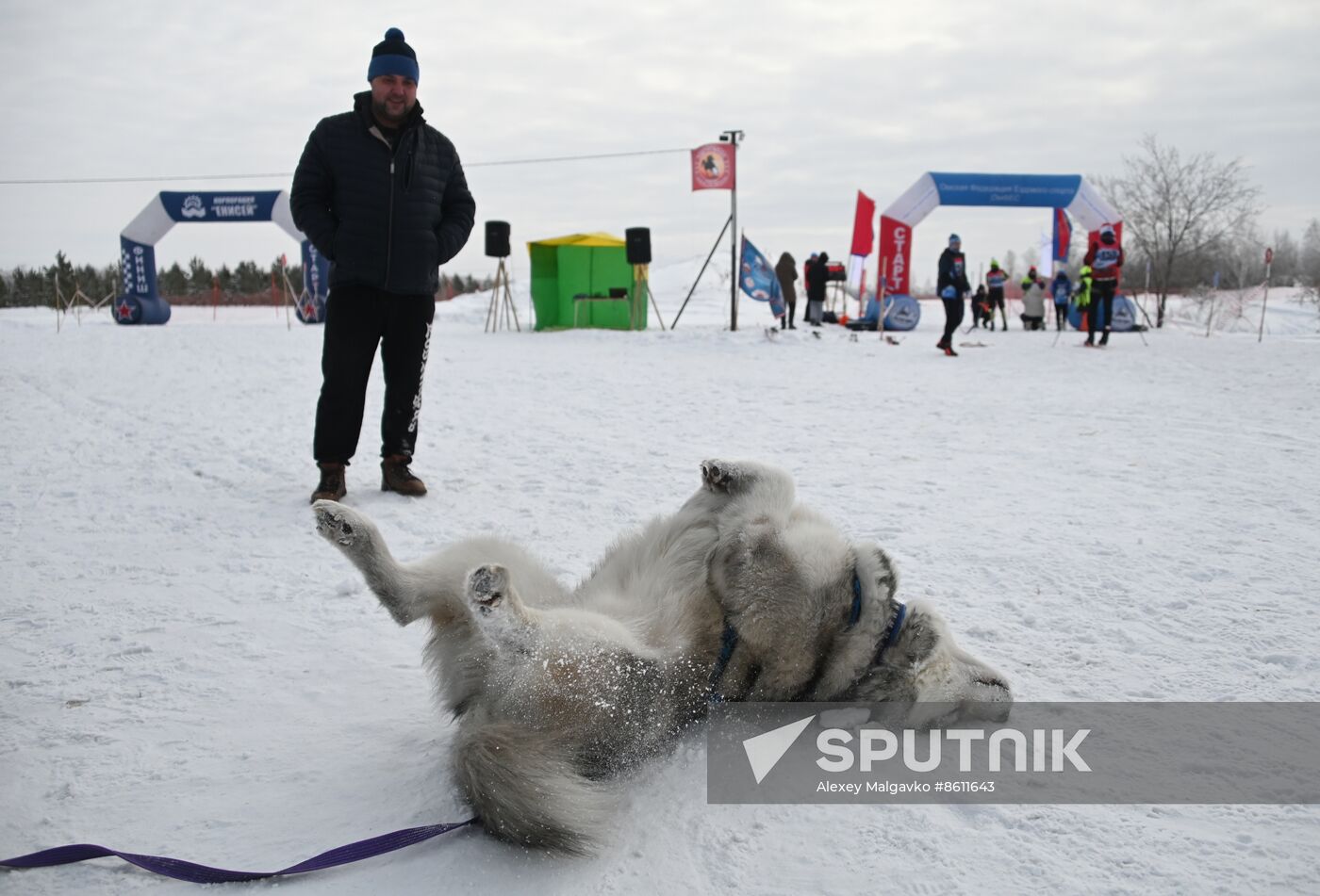 Russia Sled Dog Racing Tournament