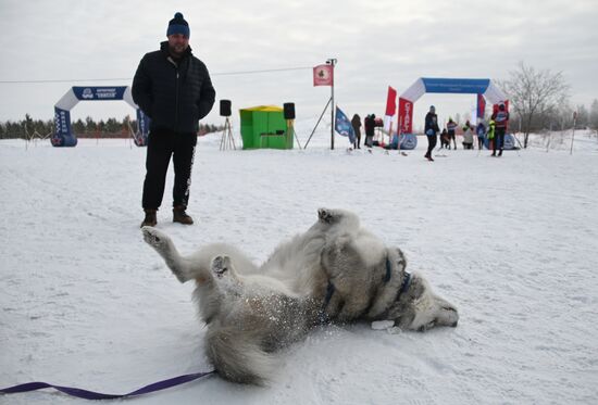 Russia Sled Dog Racing Tournament