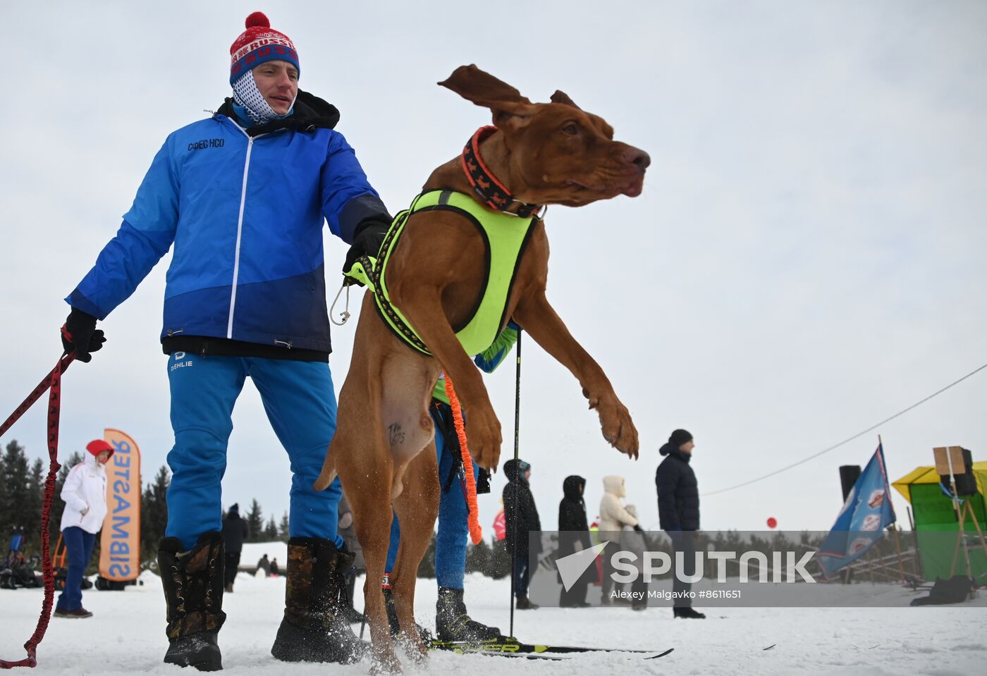 Russia Sled Dog Racing Tournament