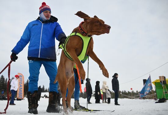 Russia Sled Dog Racing Tournament