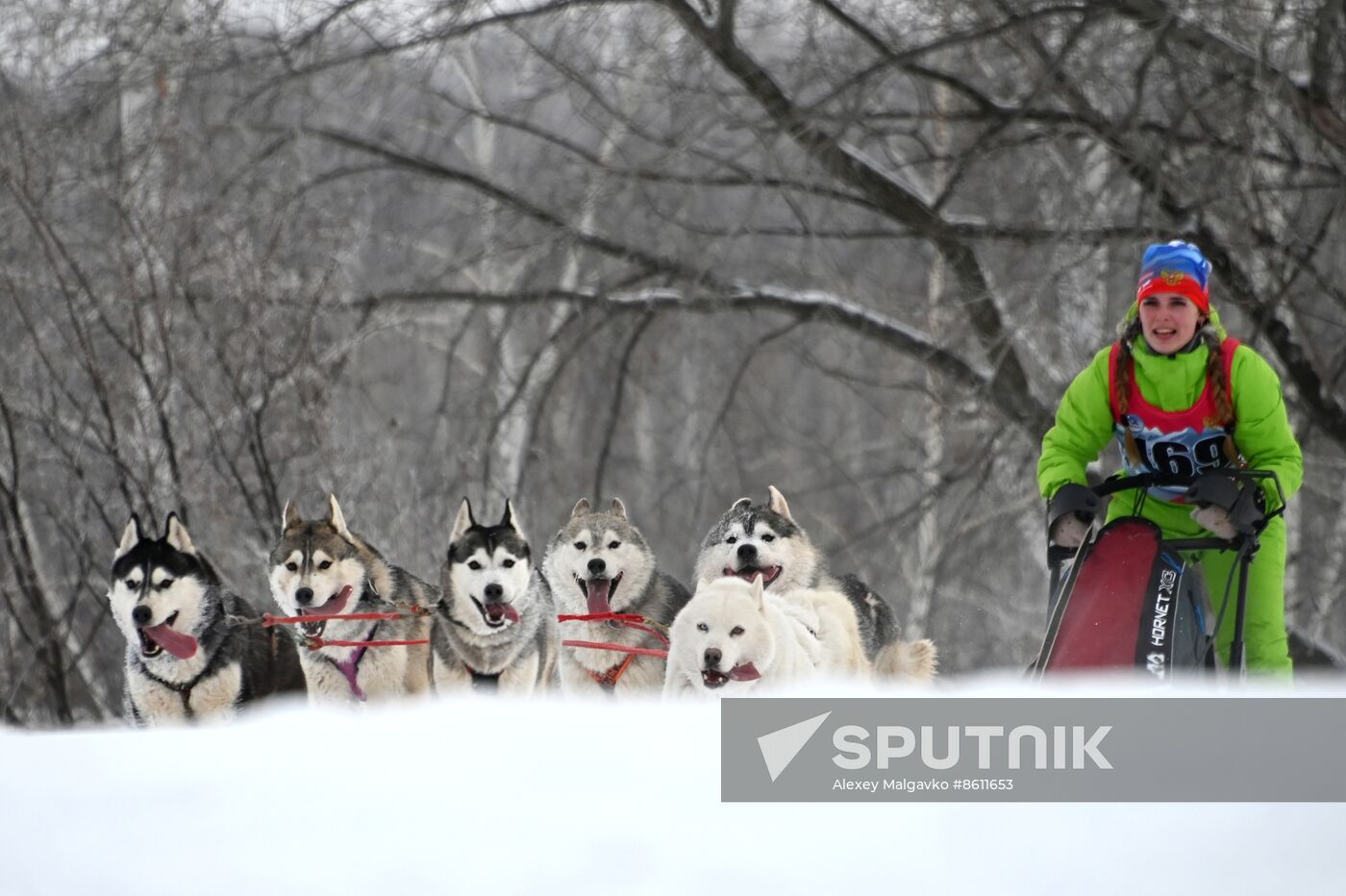 Russia Sled Dog Racing Tournament