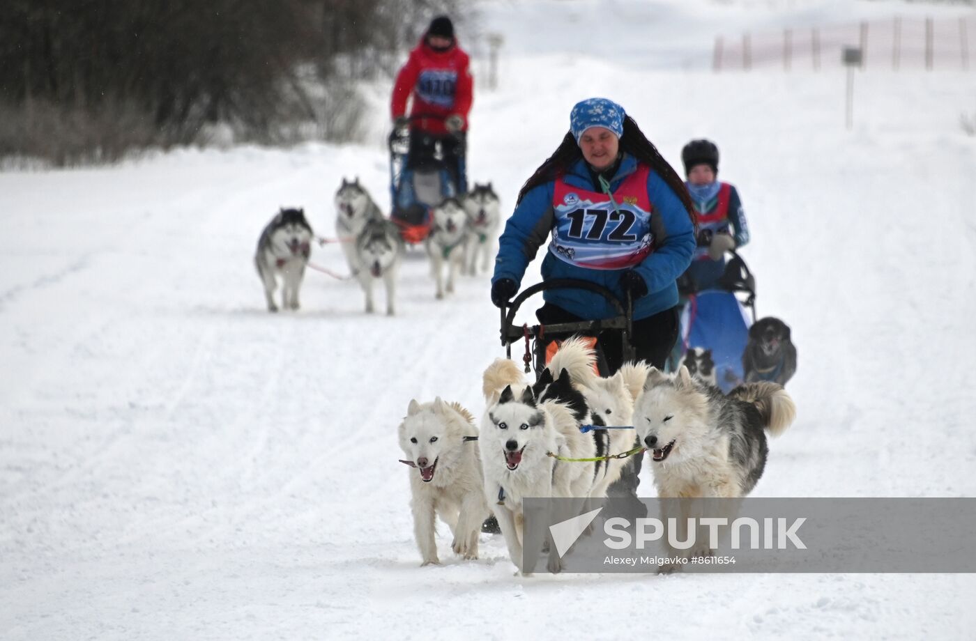 Russia Sled Dog Racing Tournament