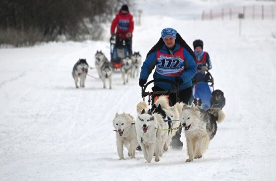 Russia Sled Dog Racing Tournament