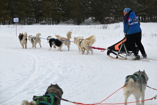 Russia Sled Dog Racing Tournament