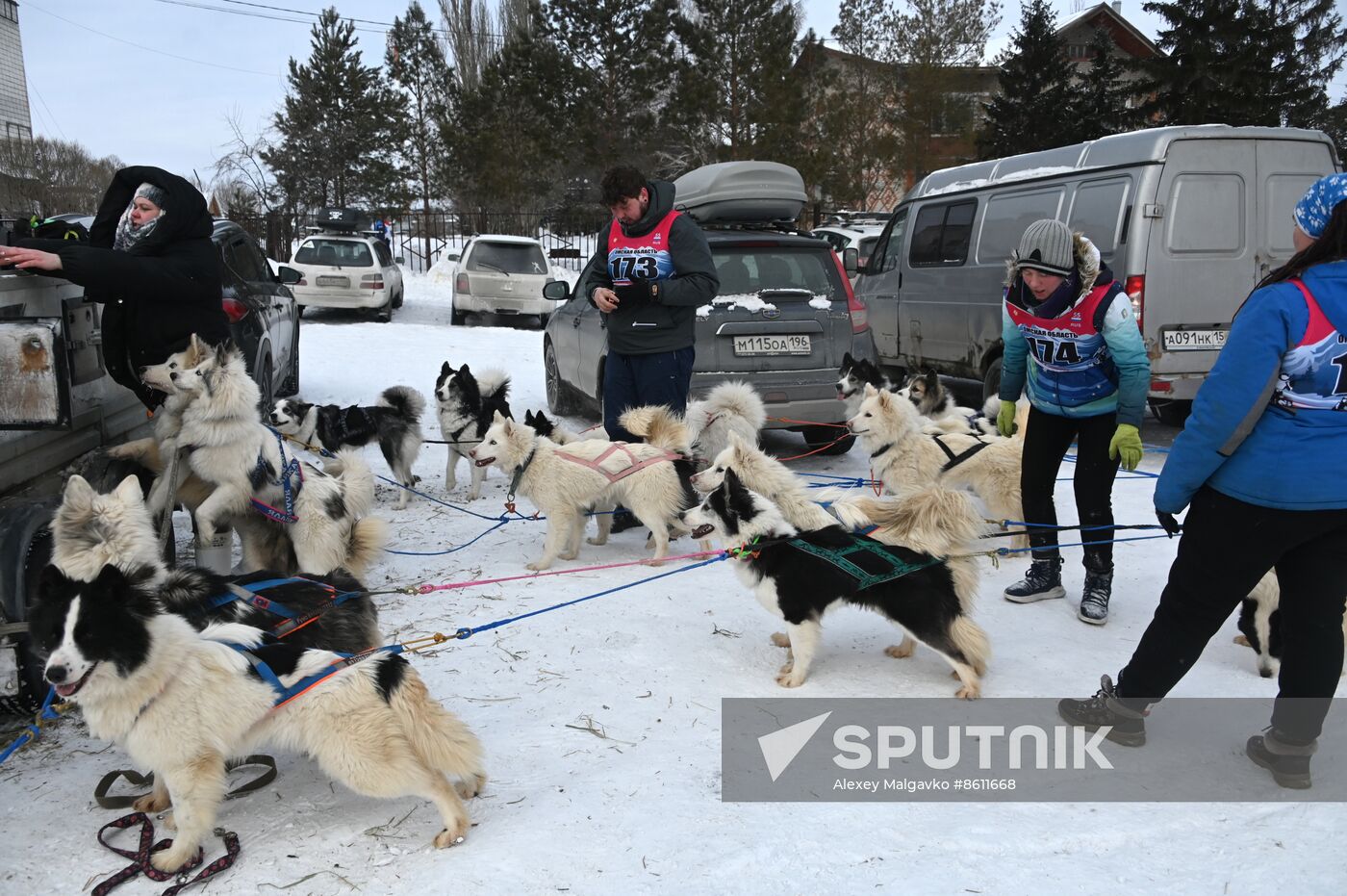 Russia Sled Dog Racing Tournament