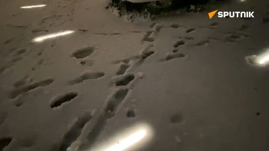 Heavy snowfall in Tokyo