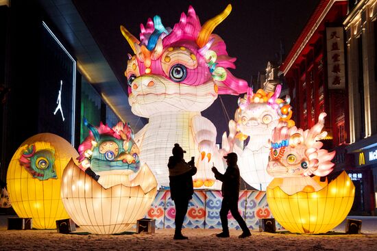 China Lunar New Year Preparations