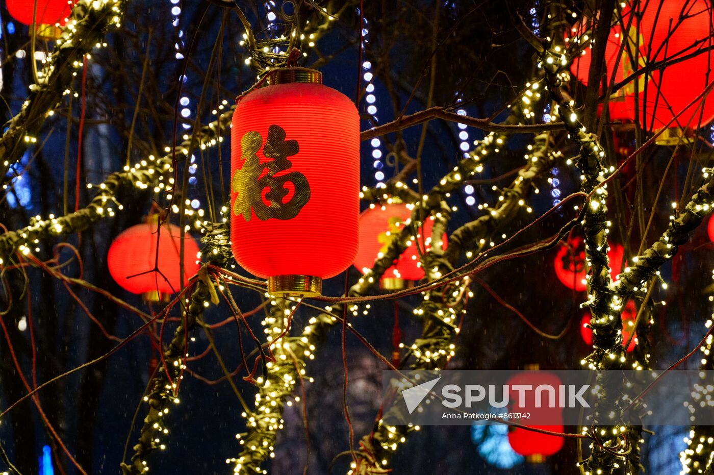 China Lunar New Year Preparations