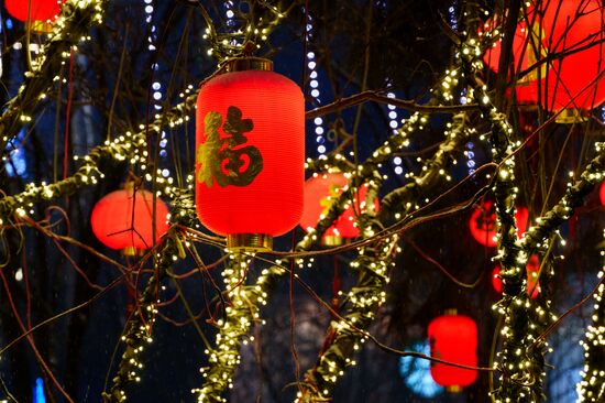 China Lunar New Year Preparations