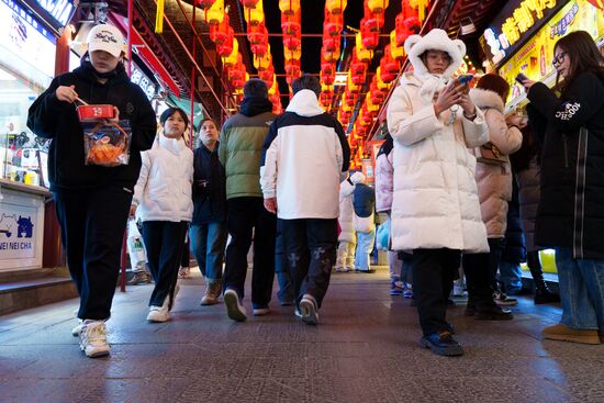 China Lunar New Year Preparations