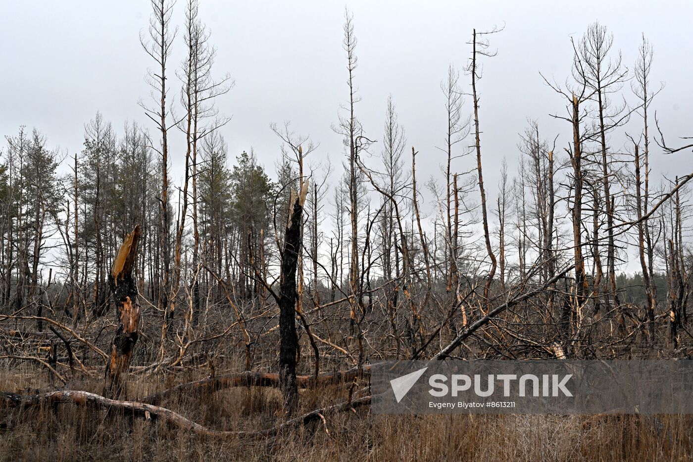 Russia LPR Environment