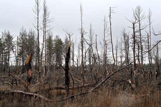 Russia LPR Environment