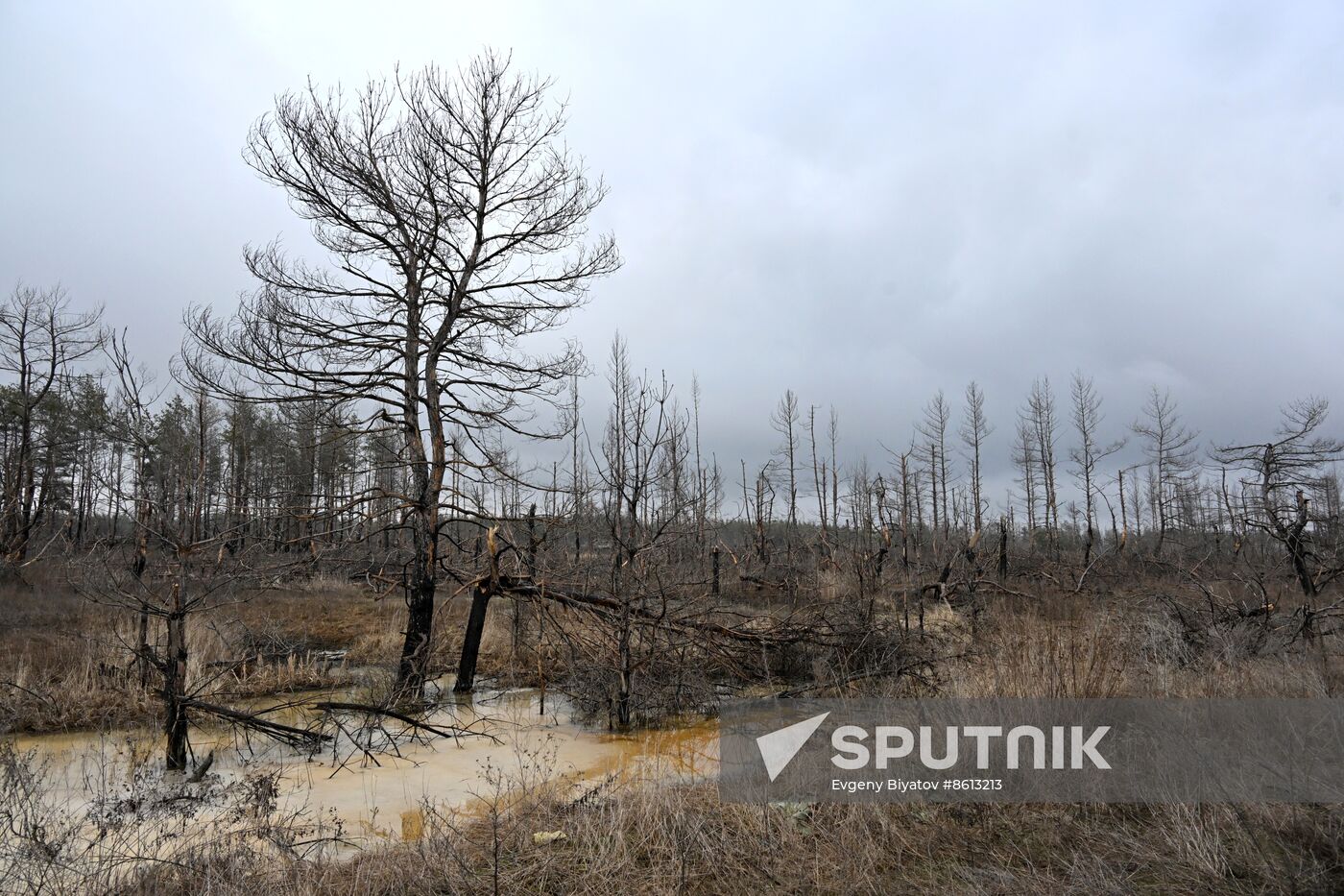 Russia LPR Environment