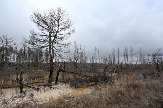 Russia LPR Environment