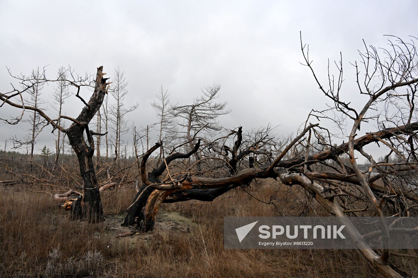 Russia LPR Environment