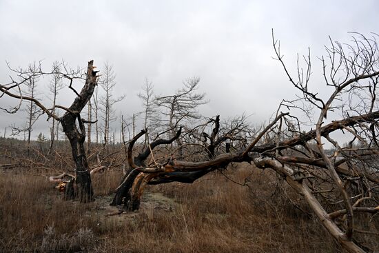 Russia LPR Environment