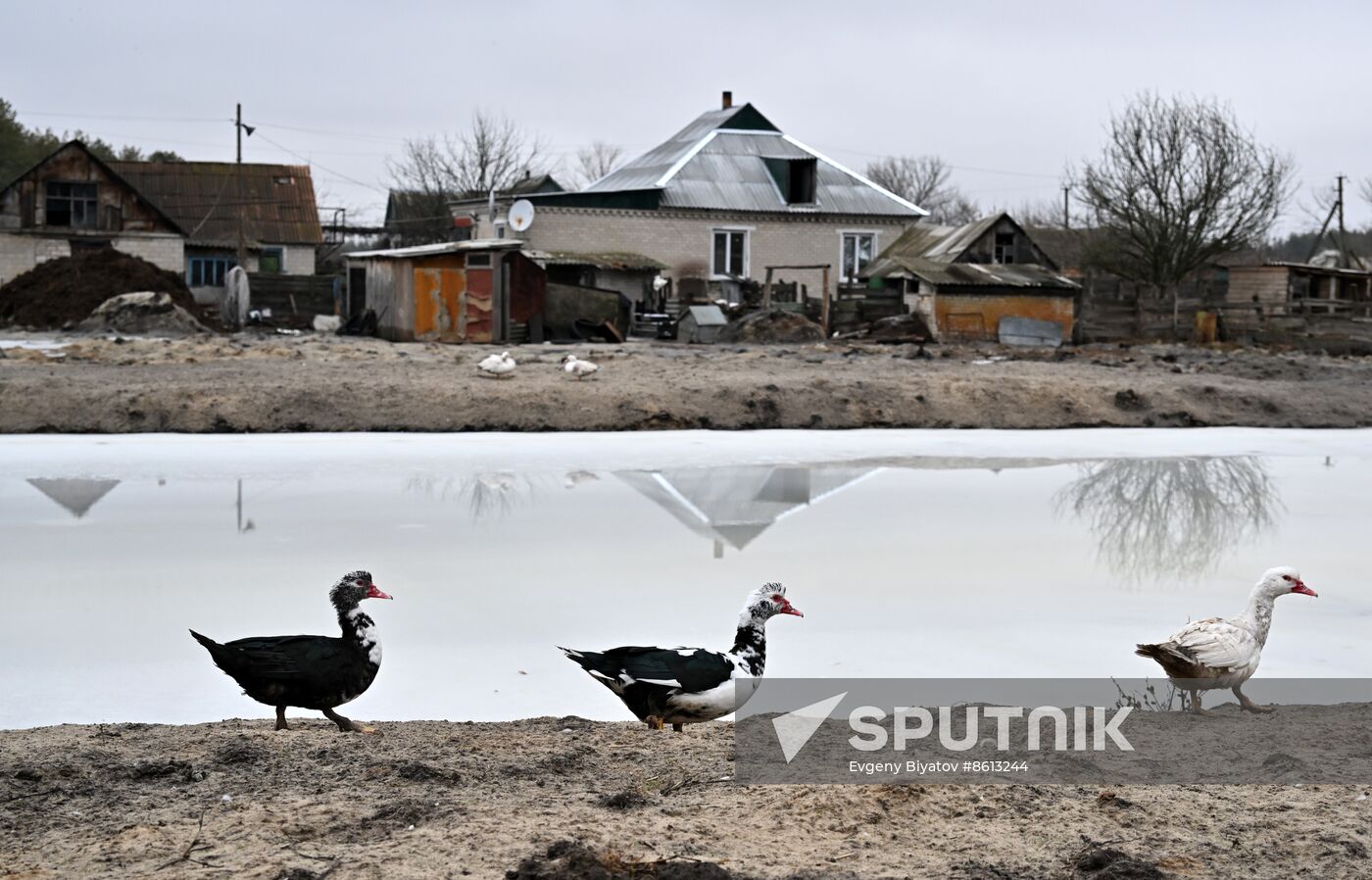 Russia LPR Environment