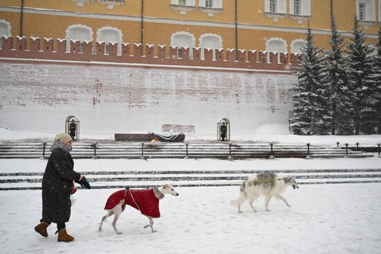 Russia Weather