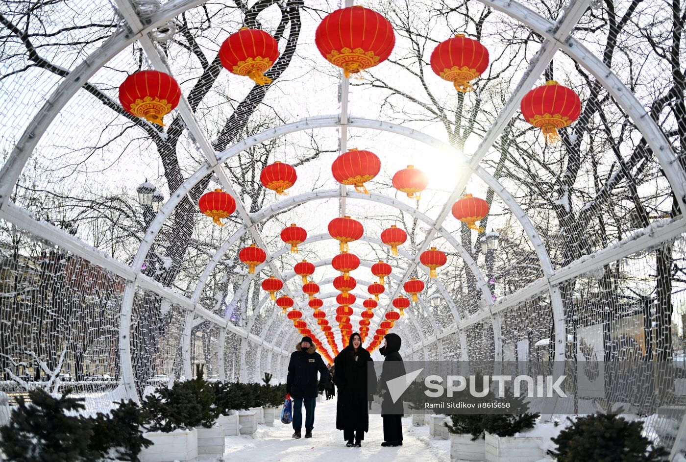 Russia Lunar New Year Festival