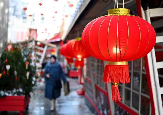 Russia Lunar New Year Festival