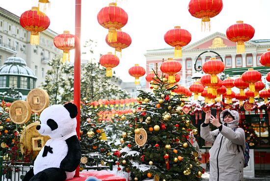 Russia Lunar New Year Festival