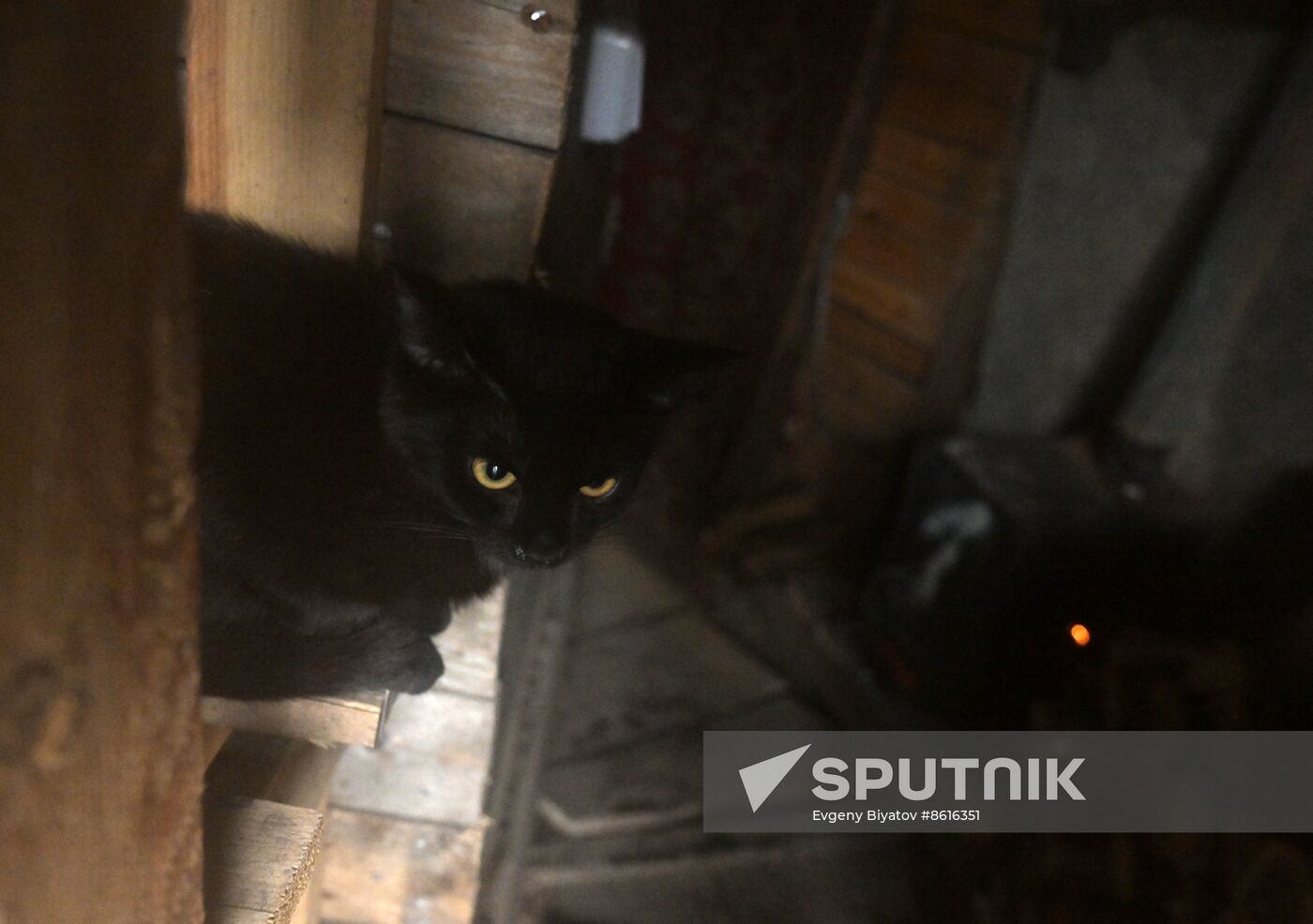 Russia Ukraine Military Operation Tank Unit