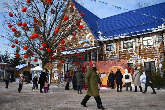 Russia Lunar New Year Festival