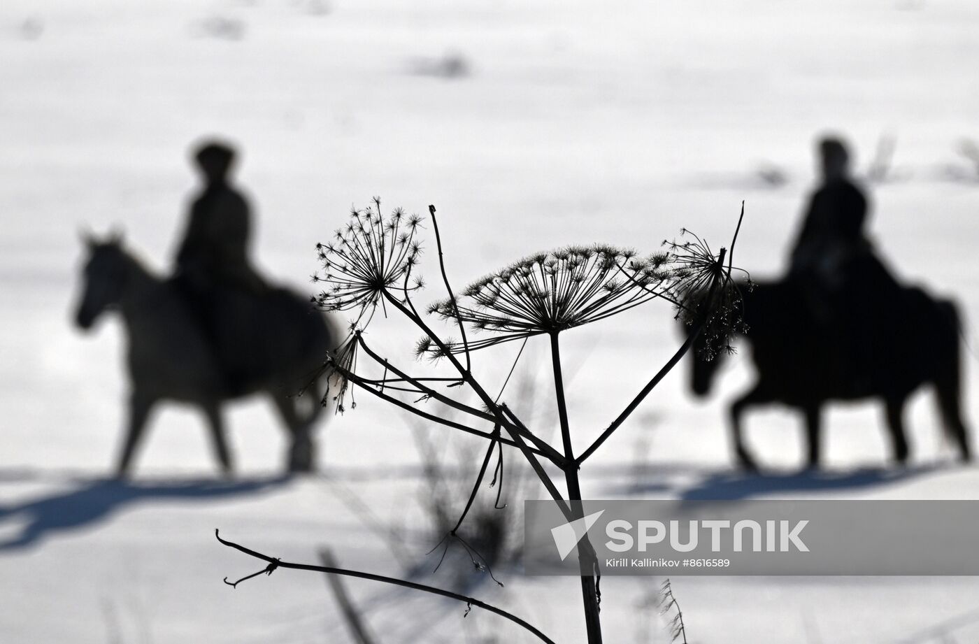 Russia Winter Horseback Hunting