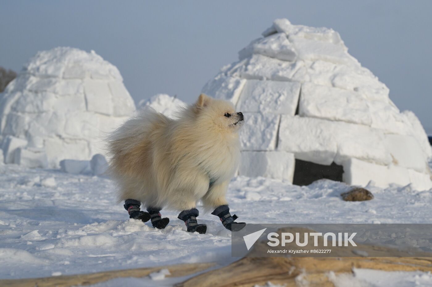 Russia Igloo Festival