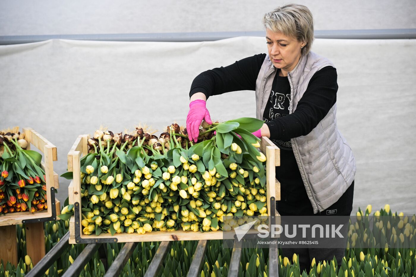 Russia Flower Growing