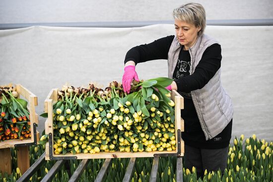 Russia Flower Growing