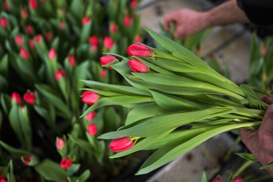 Russia Flower Growing