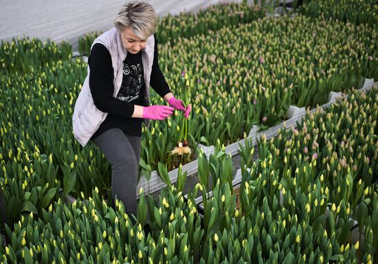 Russia Flower Growing