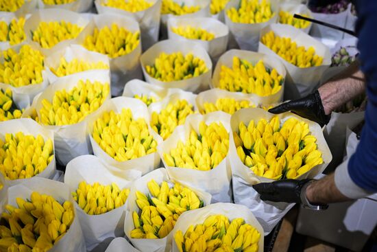 Russia Flower Growing