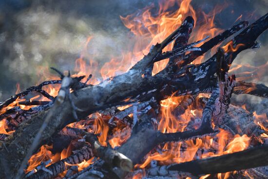 Wild fire drills in Crimea