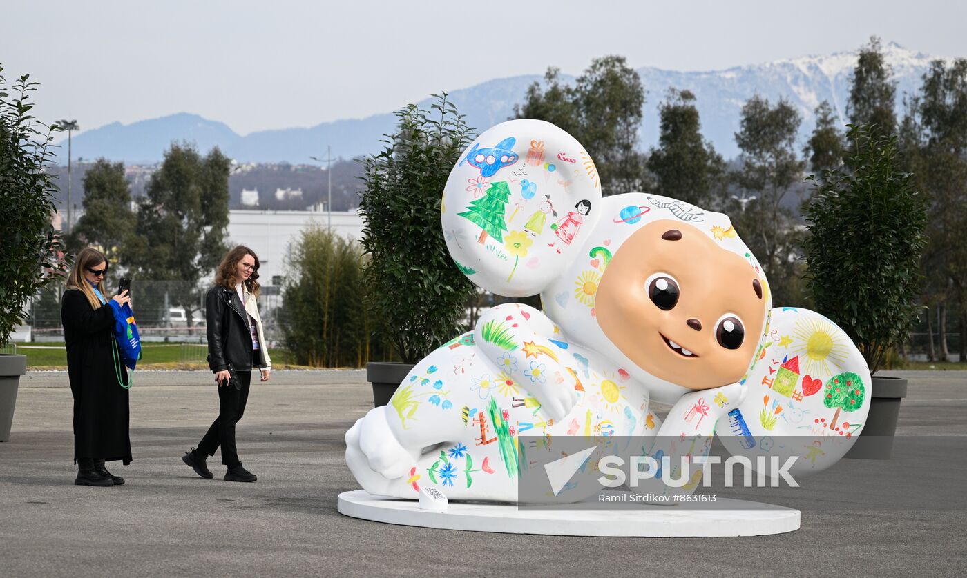 The World Youth Festival in Sochi