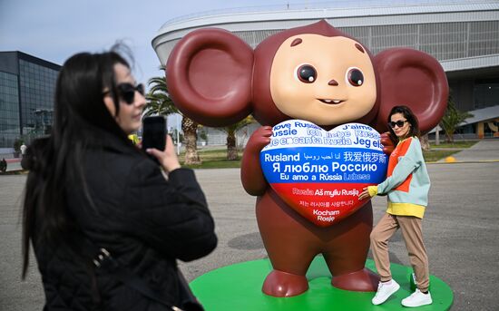 The World Youth Festival in Sochi