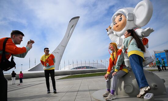 The World Youth Festival in Sochi