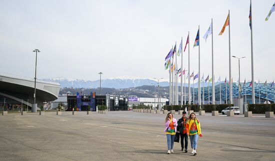 The World Youth Festival in Sochi