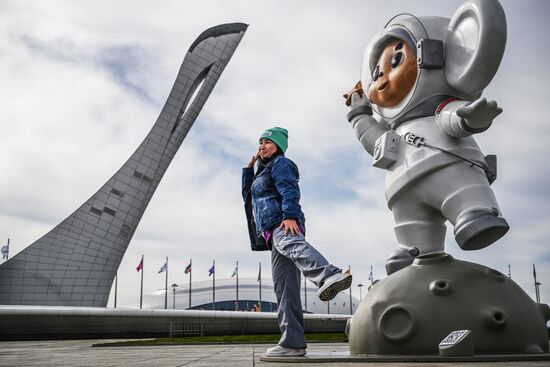 The World Youth Festival in Sochi