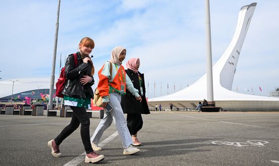 The World Youth Festival in Sochi