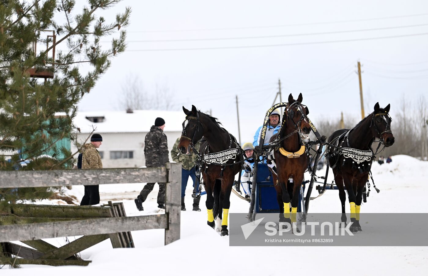 Russia Horse Drawn Sleighing Festival