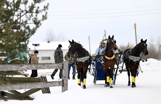 Russia Horse Drawn Sleighing Festival