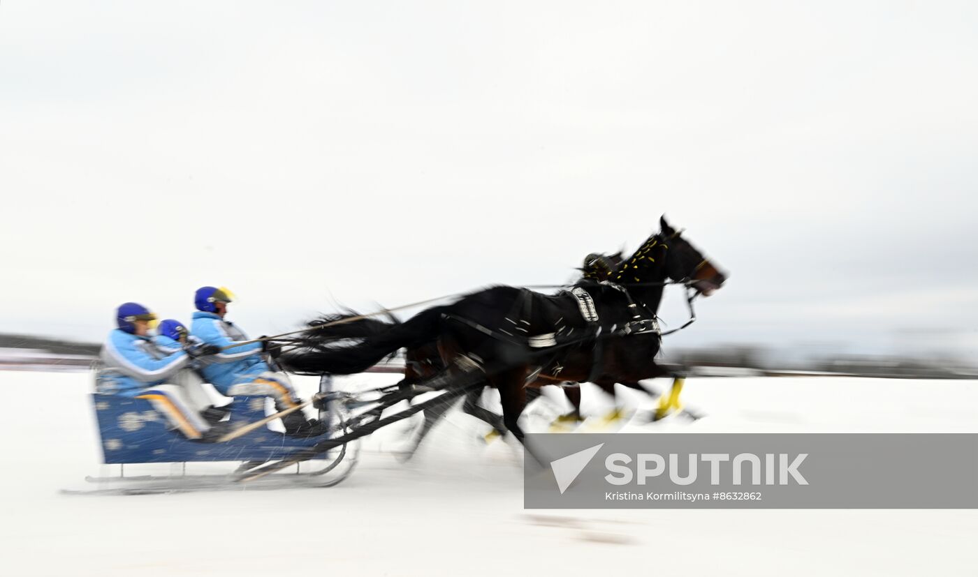 Russia Horse Drawn Sleighing Festival