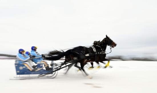 Russia Horse Drawn Sleighing Festival